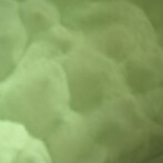 Apple Green metallic floor finish