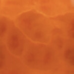 Bright Orange metallic floor finish