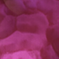 Magenta metallic floor finish