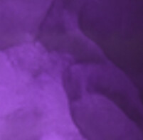 Violet metallic floor finish
