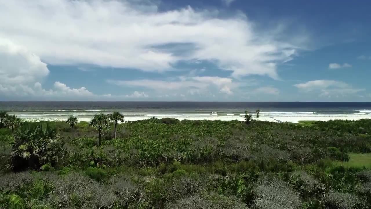 Palm Coast